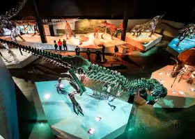 Houston Museum of Natural Science