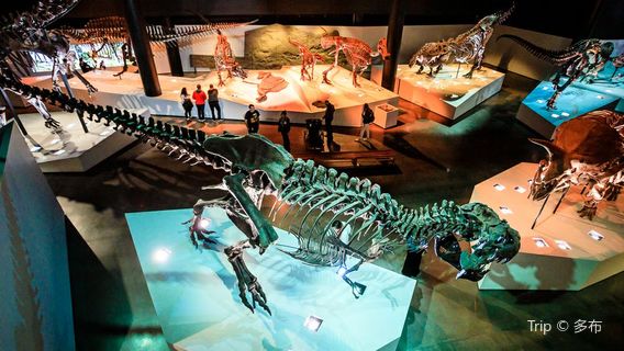 Houston Museum of Natural Science