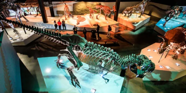 休斯頓自然科學博物館