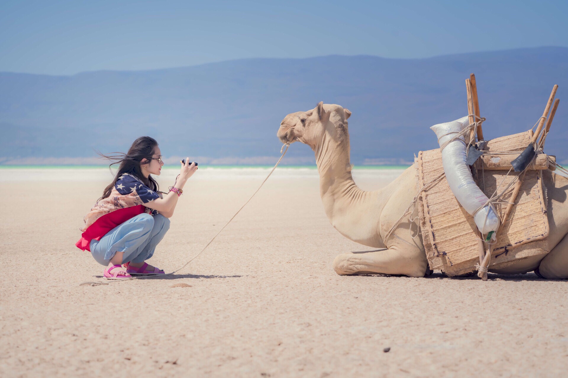 DJIBOUTI TRAVEL GUIDE visual data 8