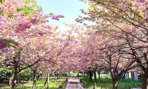 Hokkaidō-Universität