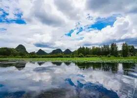 Puzhe Black Swan Lake –Viewing Platform