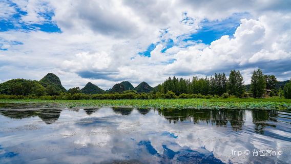 Puzhe Black Swan Lake –Viewing Platform