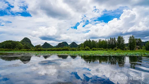 Puzhe Black Swan Lake –Viewing Platform