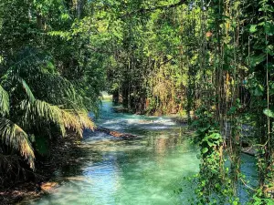 Martha Brae River