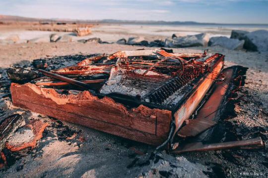 Salton Sea