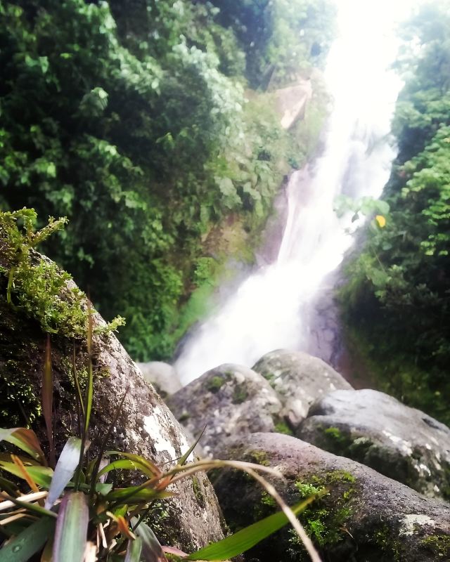 Mount Apo