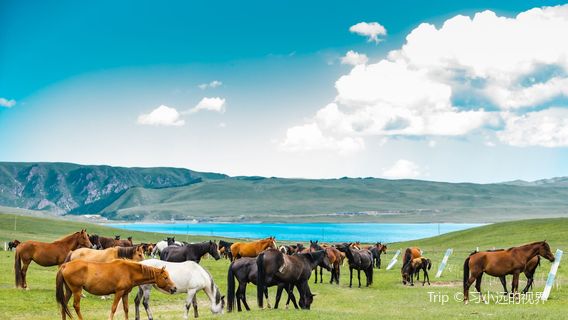 Сандэнский конный корпус