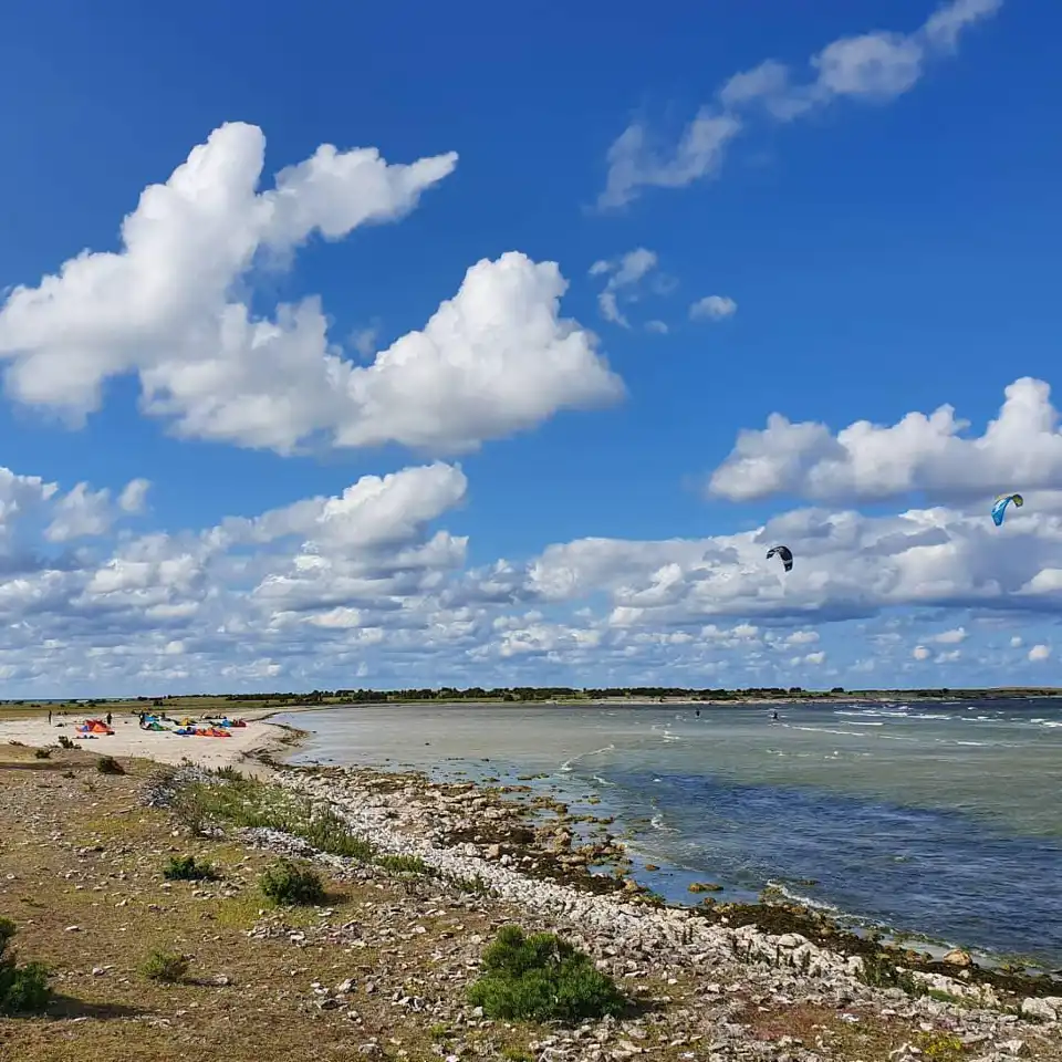 FAro