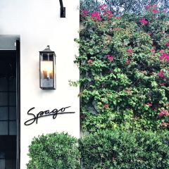 SPAGO BEVERLY HILLS User Photo