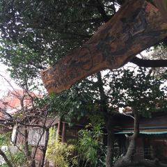 楚邊蕎麥張用戶圖片