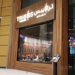 Tribes Carnivore 여행 사진