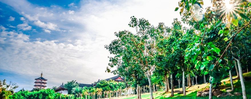 Yazhou District