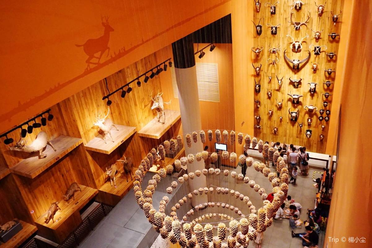 上海自然博物館の５つの見どころ