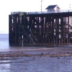 Penarth Pier Pavilion Cafe User Photo
