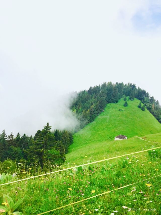 羅什德內山