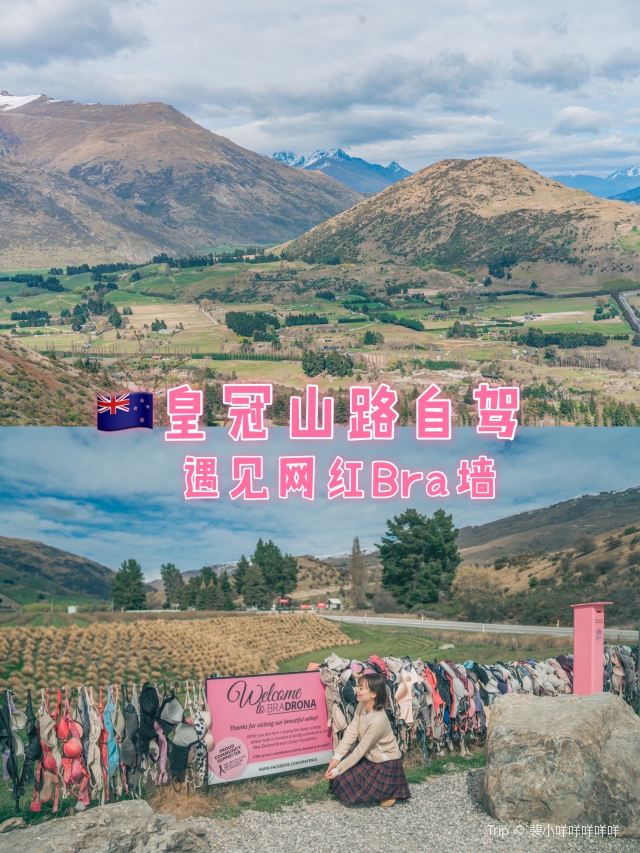 Cardrona Bra Fence