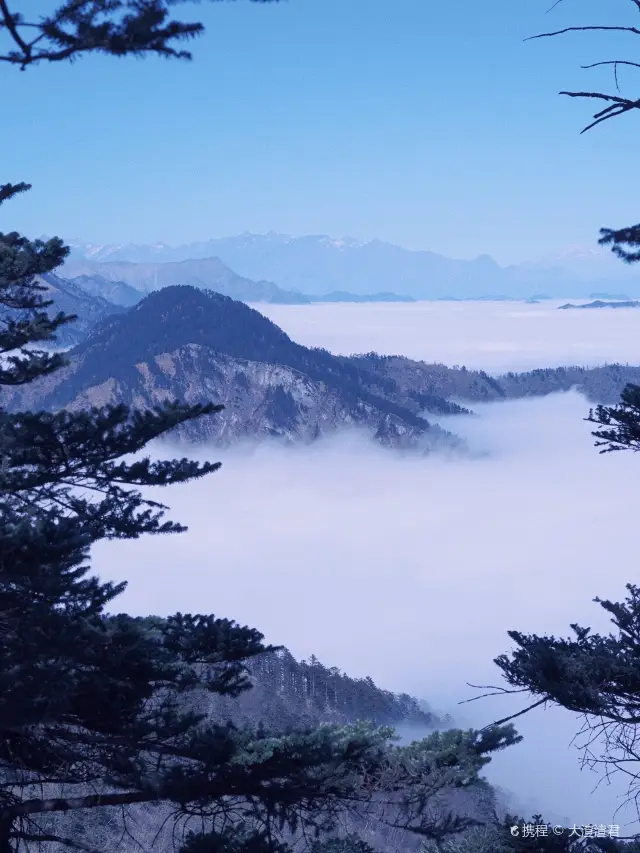 Sea of Clouds Sightseeing in Dayi