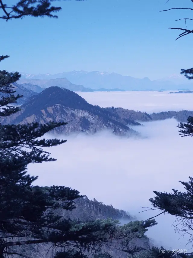 Sea of Clouds in Dayi