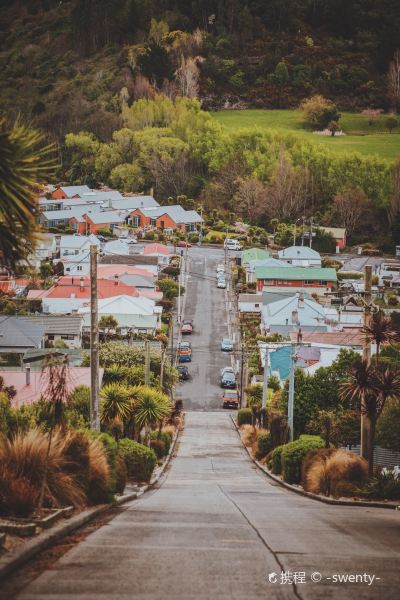 Baldwin Street - The Steepest Street in the World