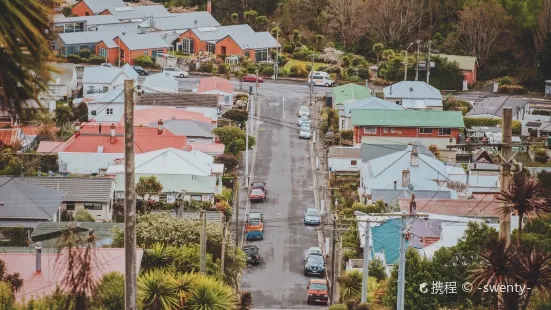 Baldwin Street - The Steepest Street in the World