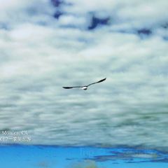 Santa Monica Seafood Market & Cafe User Photo