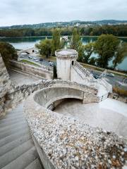 Avignon city wall