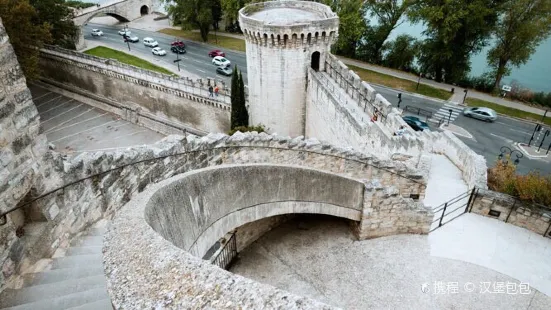 Avignon city wall