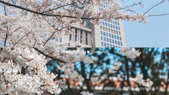 上海復旦大學高校研學/名校半日遊親子研學/大學深度遊【10人精緻小團+講師經驗豐富+場次豐富+可選獨立團】