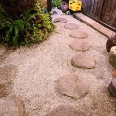 金波銀波張用戶圖片