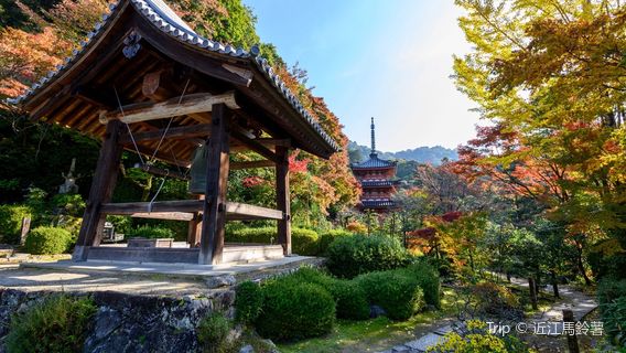 Mimuroto-ji Temple