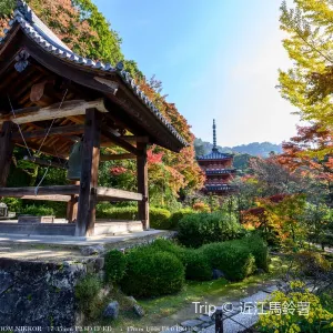三室戶寺