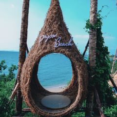 Papa BeachPapa Beach張用戶圖片