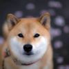 user-icon