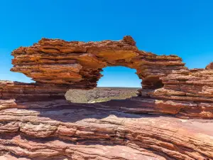Nature's Window