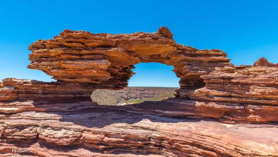 Nature's Window
