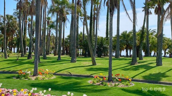 Miyako Botanic Garden Aoshima