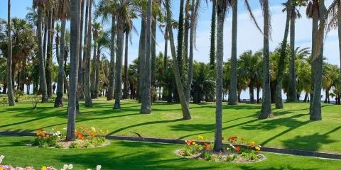 宮交亞熱帶植物園