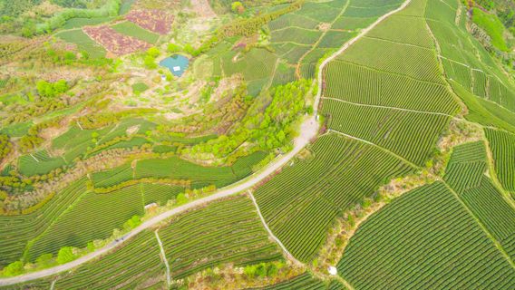 Simingshan Geological Park Scenic Area