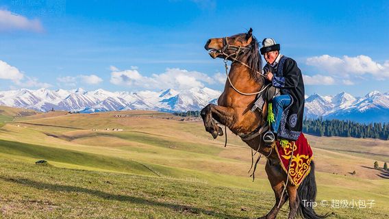 Horse Riding in Tekes