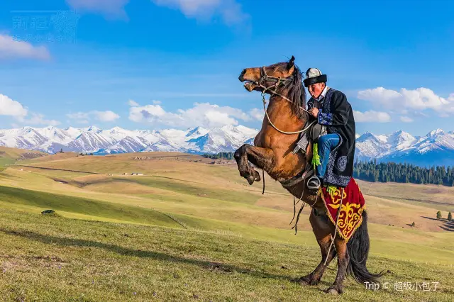 Horse Riding in Tekes