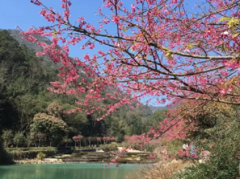 Fuzhou Botanical Garden
