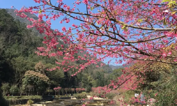 สวนสาธารณะแห่งชาติฟูโจว