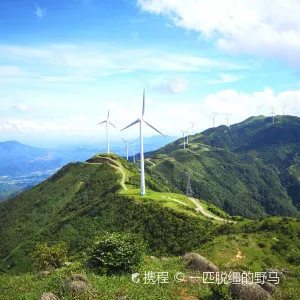 羅定風車山