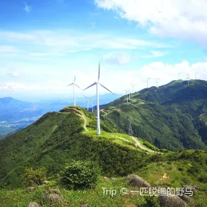 羅定風車山