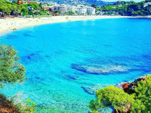 Fenals Beach