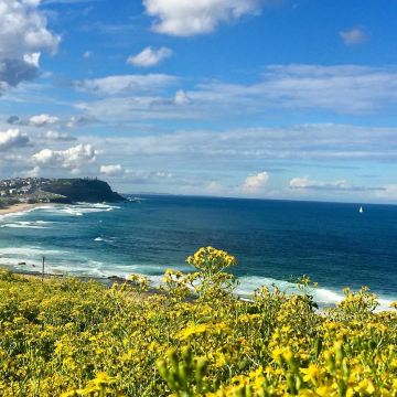 Merewether Beach