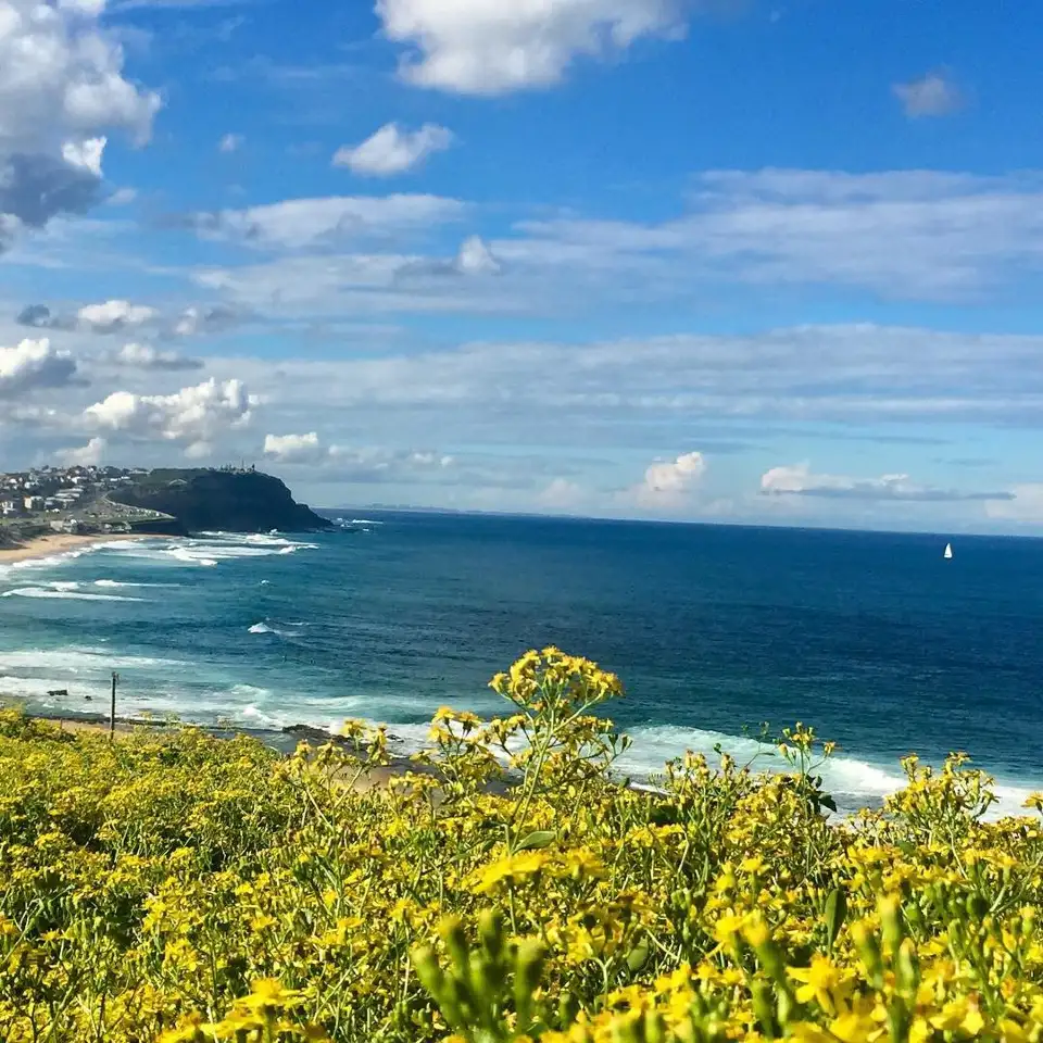 Merewether Beach
