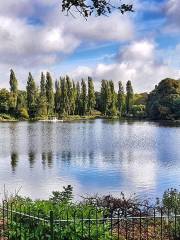 Walsall Arboretum