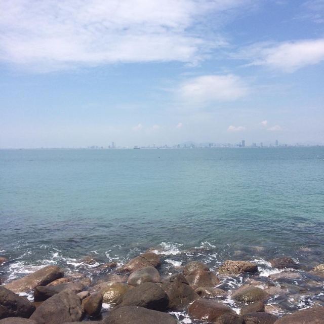 바이다